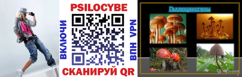 Псилоцибиновые грибы Cubensis купить закладку Поронайск